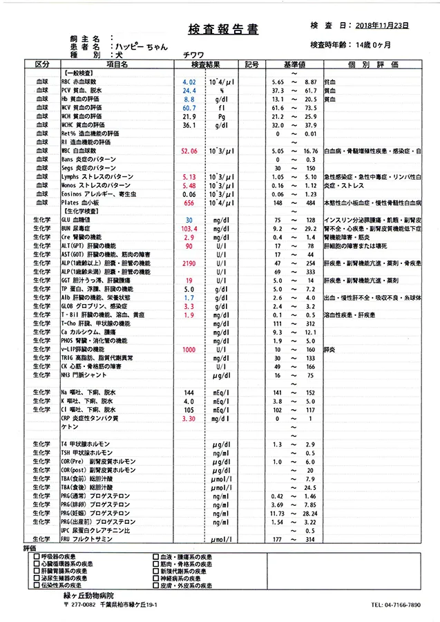 血液検査の表