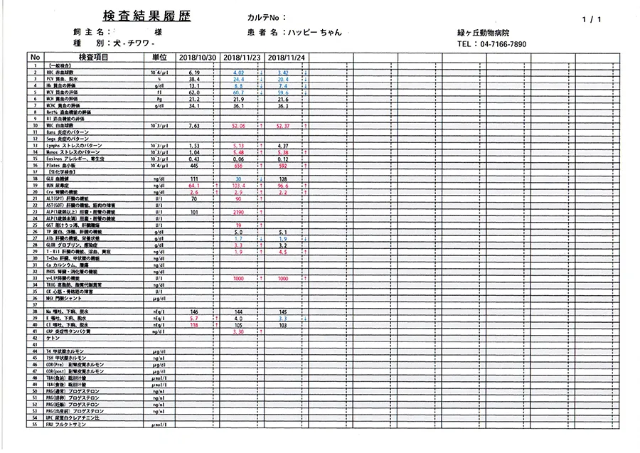 血液検査の表