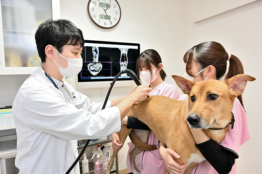 院内で過ごす犬とスタッフ