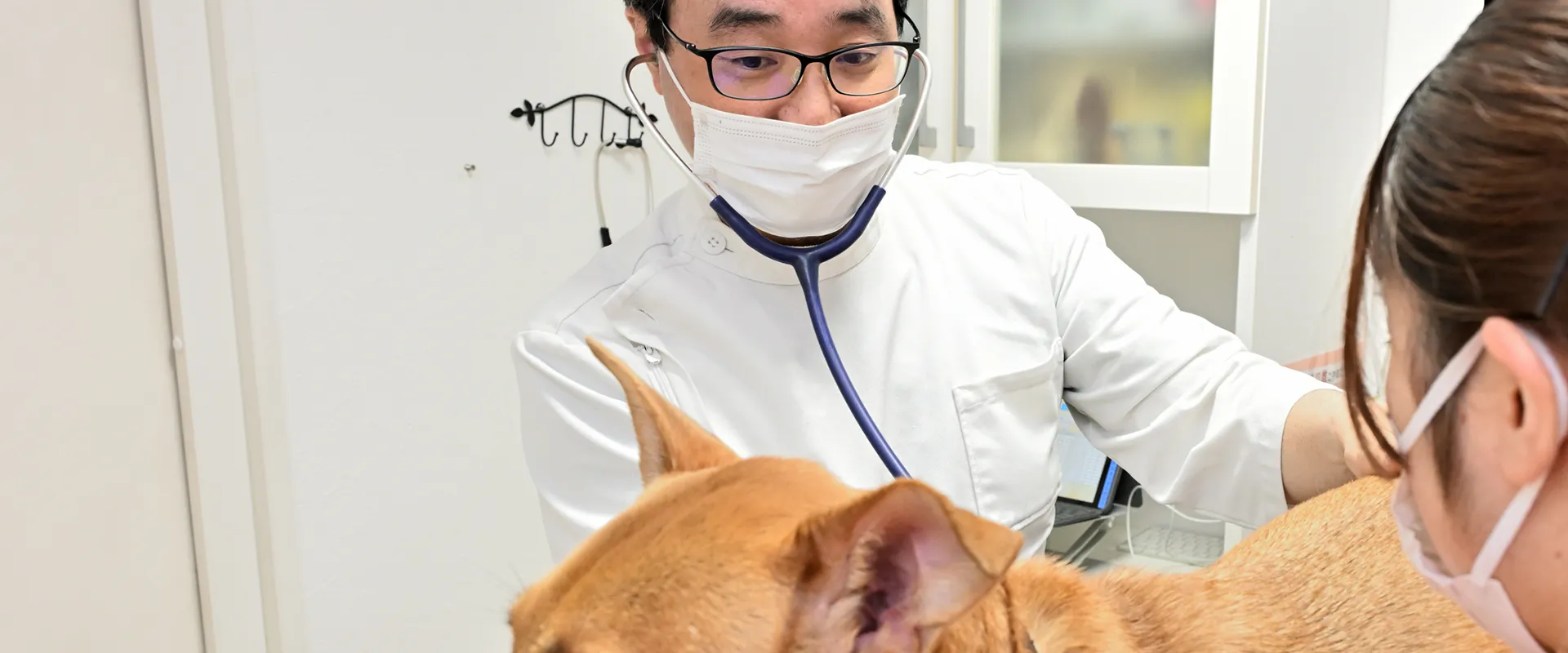 歯科ユニットの写真