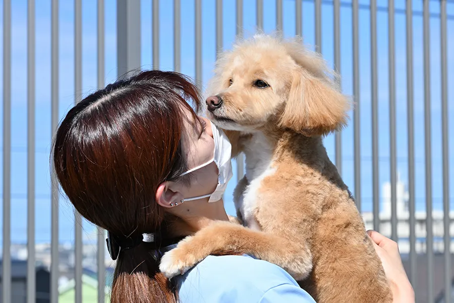 ペットホテル写真