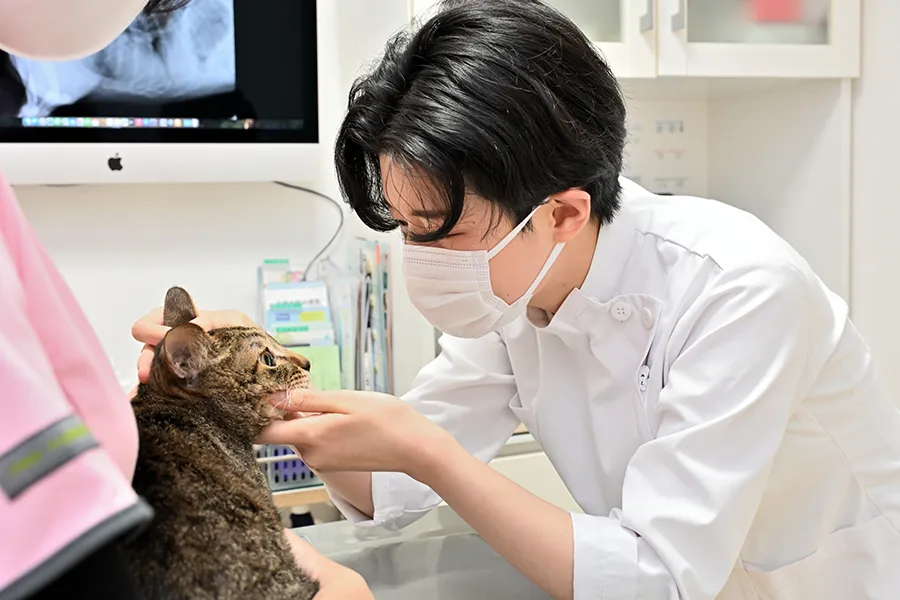 診察中の写真