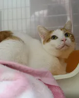 涼(リョウ)写真