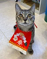 やしち写真