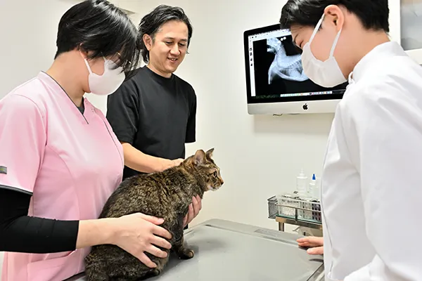 ワクチン接種イメージの写真