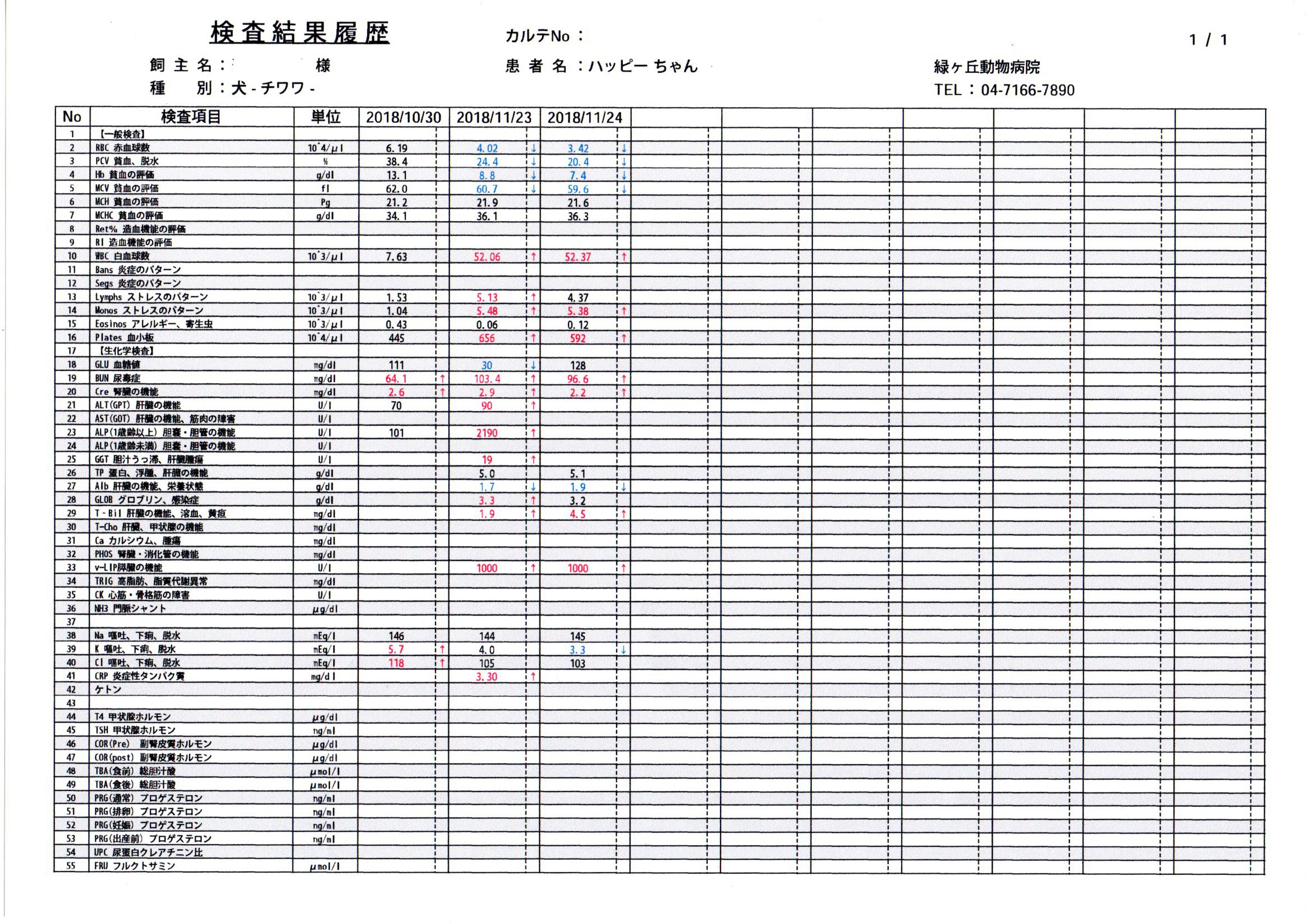 健康診断 緑ヶ丘動物病院